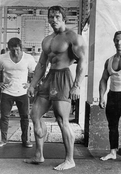 are arnold schwarzenegger's calves fake